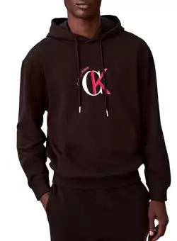 Hanorac Calvin Klein LS EU 350TERRY GRAPHIC HOODIE