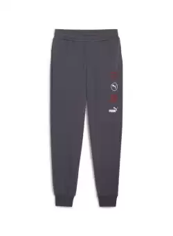Pantaloni Puma Power Graphic Sweatpants TR CL